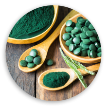 6.photo-1_2-spirulina